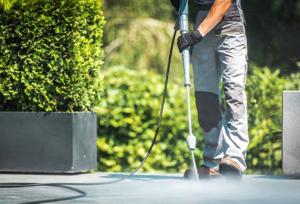 Best Roof Washing  in Desnso, CA