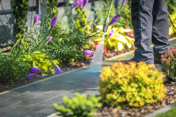  Desnso, CA Pressure Washing Pros